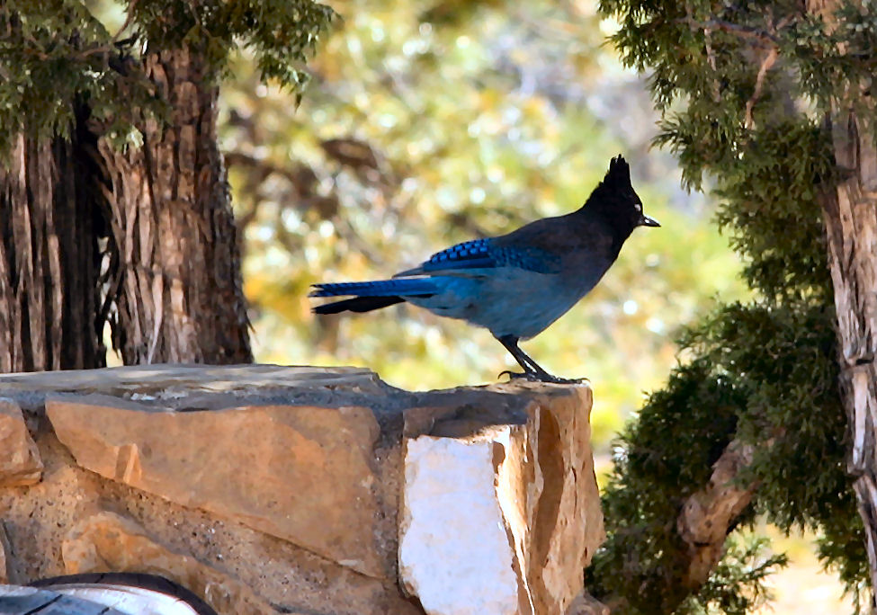 06 - Bryce Canyon NP (19).JPG